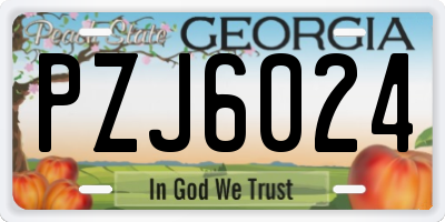 GA license plate PZJ6024
