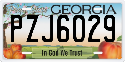 GA license plate PZJ6029