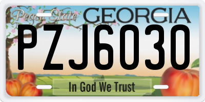 GA license plate PZJ6030