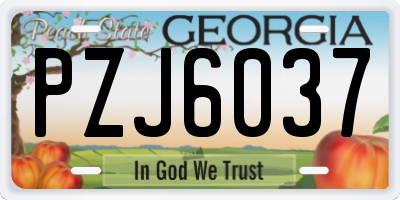 GA license plate PZJ6037