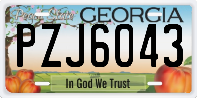 GA license plate PZJ6043