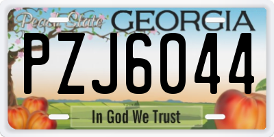 GA license plate PZJ6044