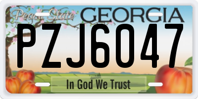 GA license plate PZJ6047