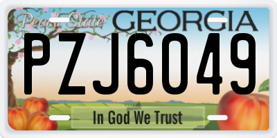 GA license plate PZJ6049