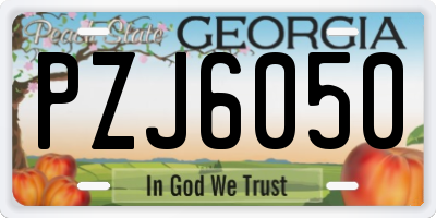 GA license plate PZJ6050