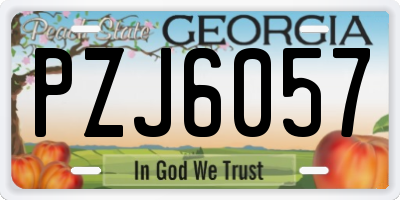 GA license plate PZJ6057