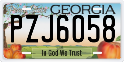 GA license plate PZJ6058