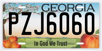 GA license plate PZJ6060