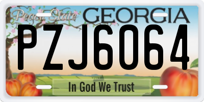 GA license plate PZJ6064