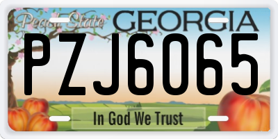 GA license plate PZJ6065