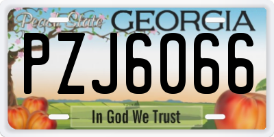 GA license plate PZJ6066
