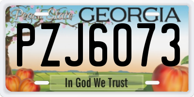 GA license plate PZJ6073