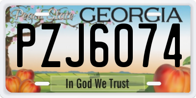 GA license plate PZJ6074