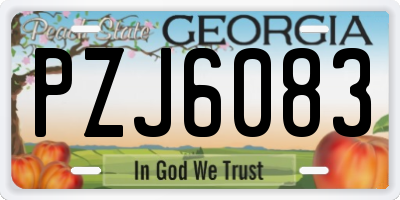 GA license plate PZJ6083