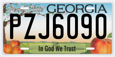 GA license plate PZJ6090