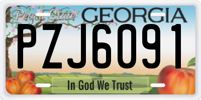 GA license plate PZJ6091