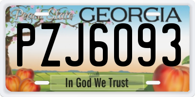 GA license plate PZJ6093