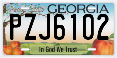 GA license plate PZJ6102