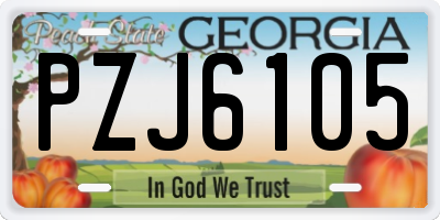GA license plate PZJ6105