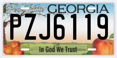 GA license plate PZJ6119