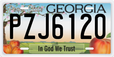 GA license plate PZJ6120