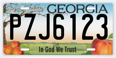 GA license plate PZJ6123