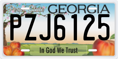 GA license plate PZJ6125