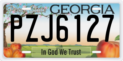 GA license plate PZJ6127