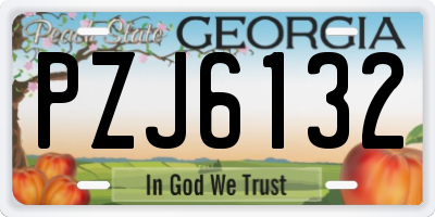 GA license plate PZJ6132
