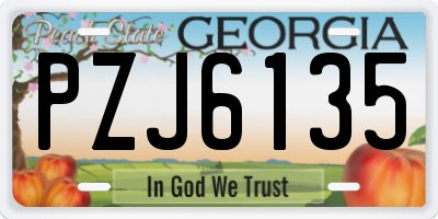 GA license plate PZJ6135