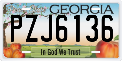 GA license plate PZJ6136