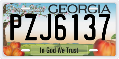 GA license plate PZJ6137