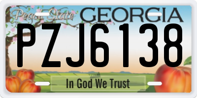 GA license plate PZJ6138