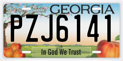GA license plate PZJ6141