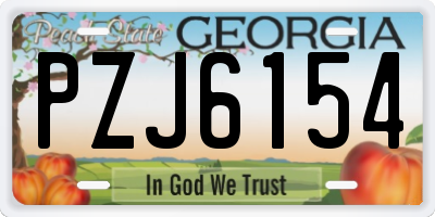 GA license plate PZJ6154