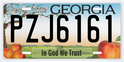 GA license plate PZJ6161