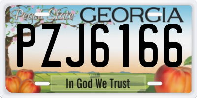 GA license plate PZJ6166