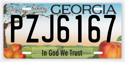GA license plate PZJ6167