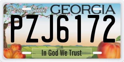 GA license plate PZJ6172