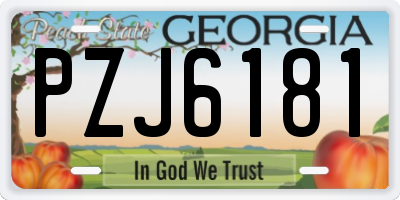 GA license plate PZJ6181