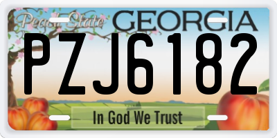 GA license plate PZJ6182