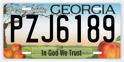 GA license plate PZJ6189