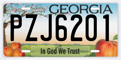 GA license plate PZJ6201