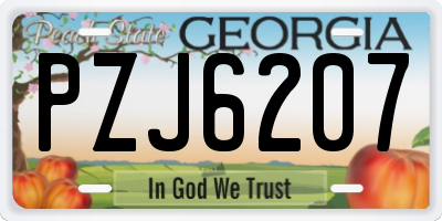 GA license plate PZJ6207