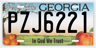 GA license plate PZJ6221