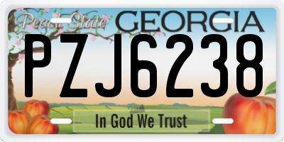 GA license plate PZJ6238