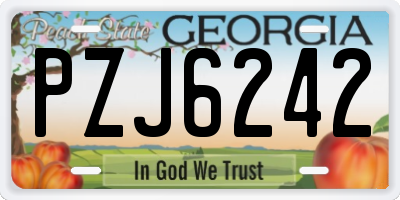 GA license plate PZJ6242