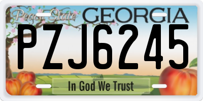 GA license plate PZJ6245