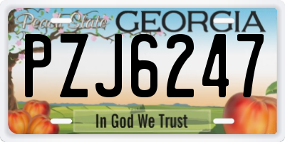 GA license plate PZJ6247