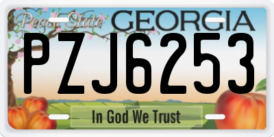 GA license plate PZJ6253